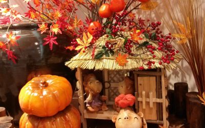 Seasonal Transitions: Tips for Decorating Your Home to Reflect the Beauty of Each Season